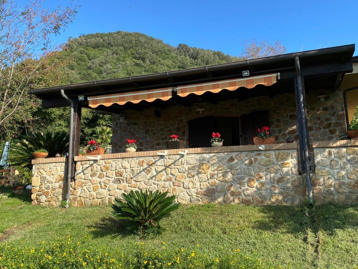 Casa Trachini Villa Palmi Exterior foto